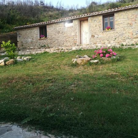 Il Cerro Agriturismo Zagarese 푸스칼도 외부 사진