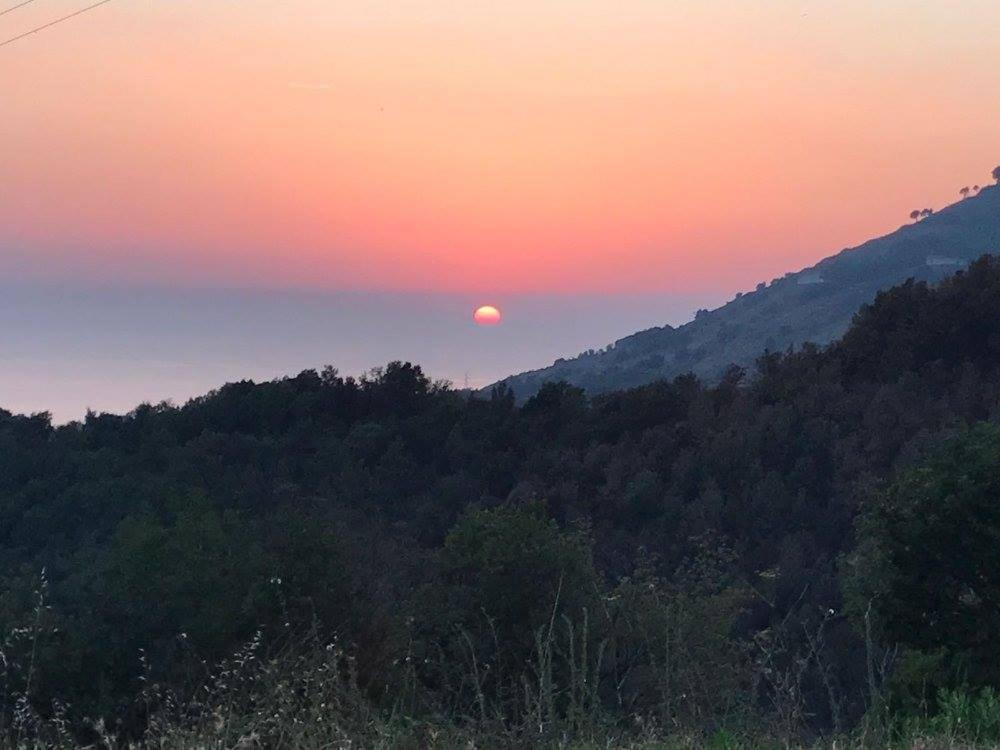 Il Cerro Agriturismo Zagarese 푸스칼도 외부 사진