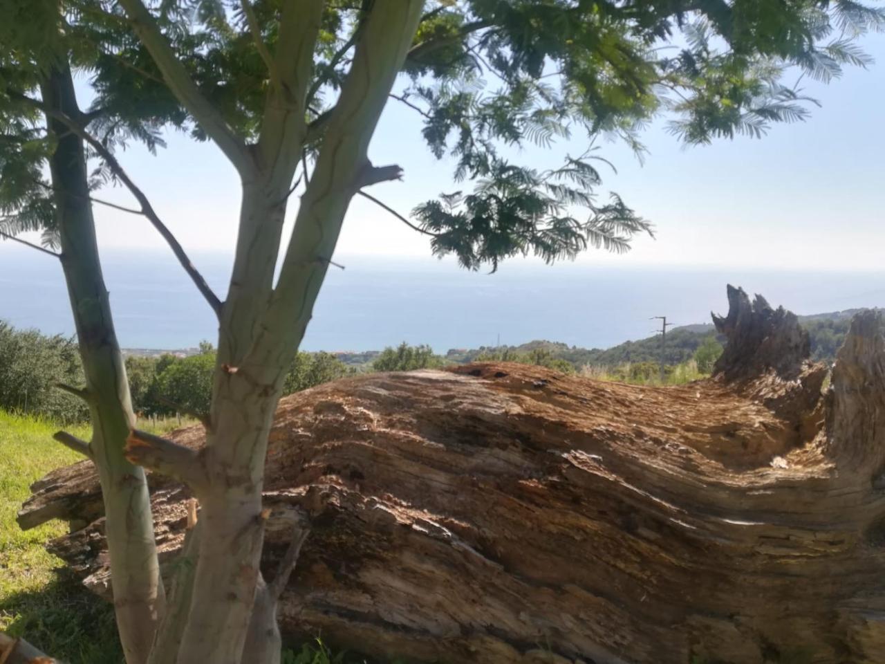 Il Cerro Agriturismo Zagarese 푸스칼도 외부 사진