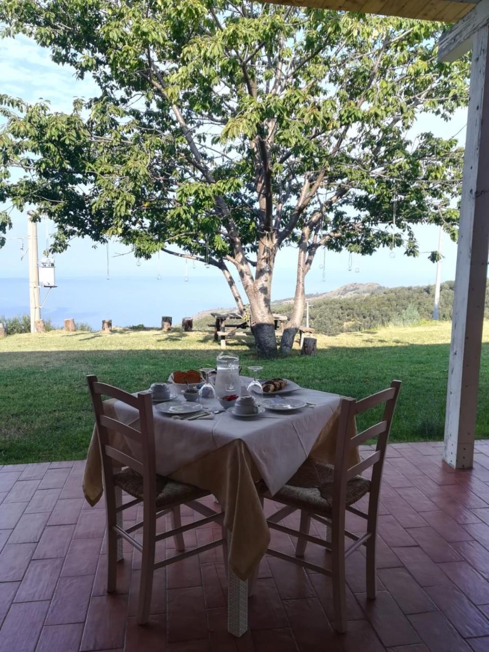 Il Cerro Agriturismo Zagarese 푸스칼도 외부 사진